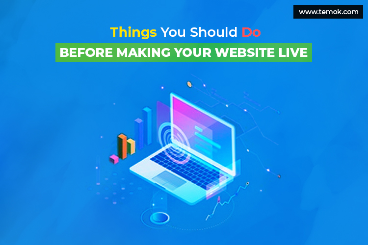 Making Your Website Live