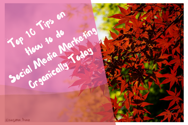 Social Media Marketing