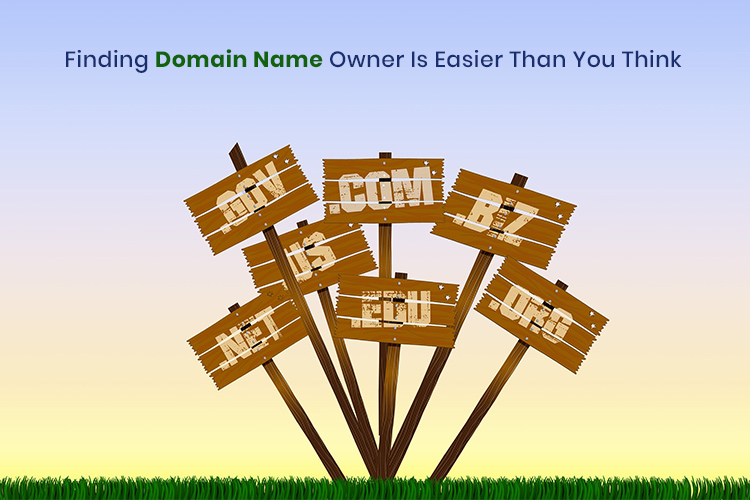 Find Domain Name Owner