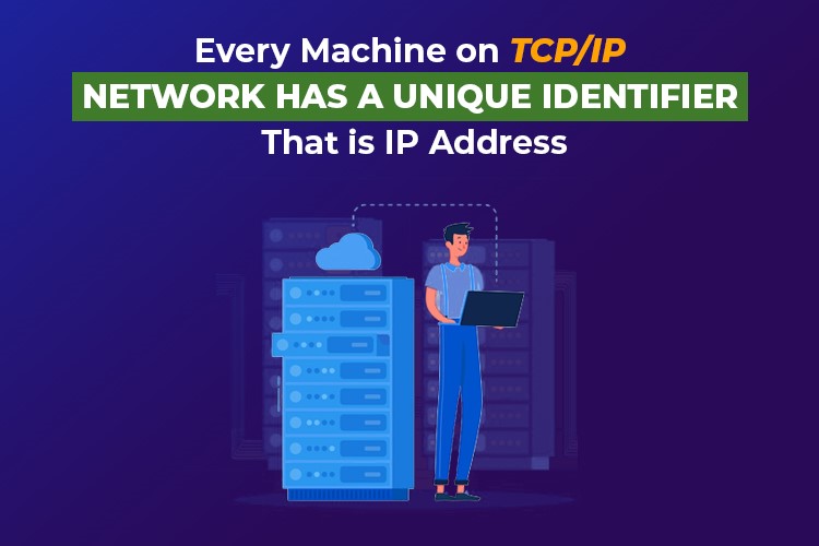 What Does Networking IP Addresses Portray