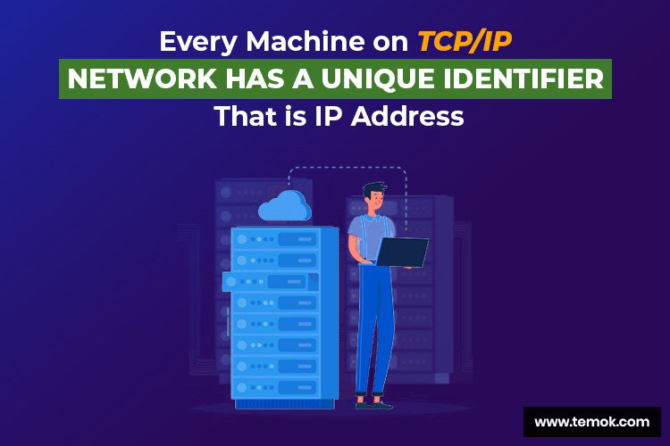 Networking IP Addresses