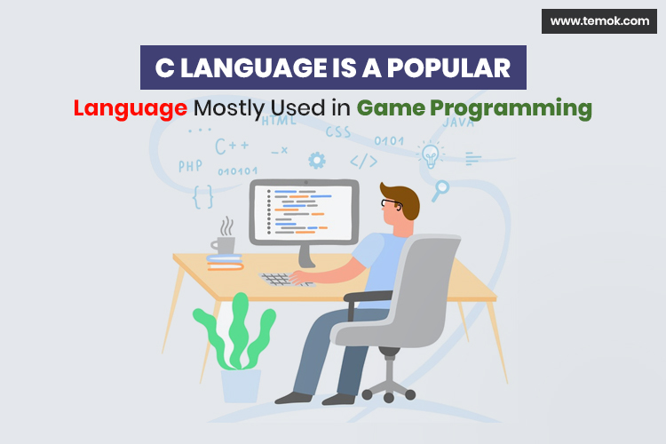 Types of Programming Languages: Differences And Specialties