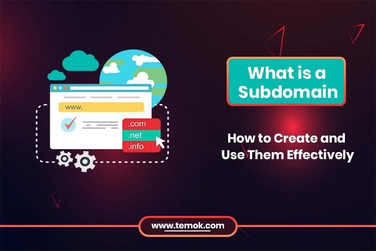 What is a Subdomain