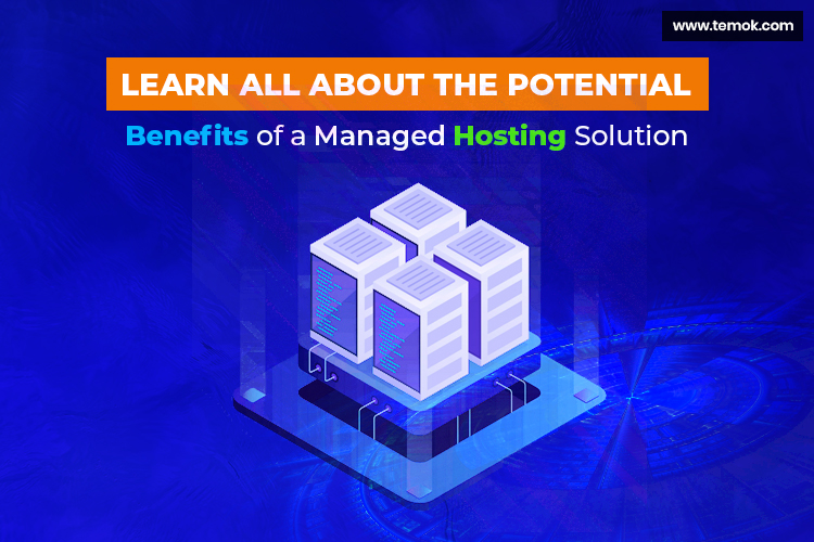Fully Managed Hosting