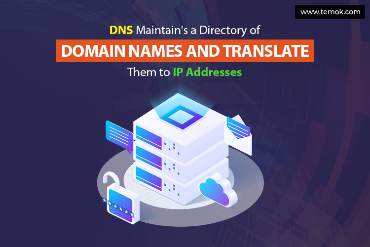 DNS Infrastructure