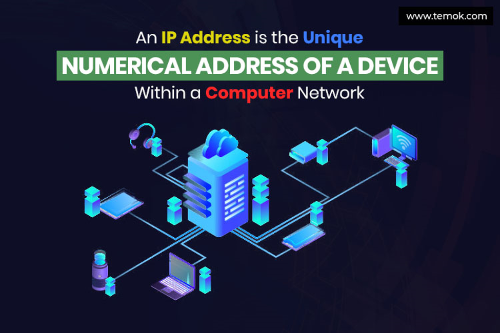 IP Address