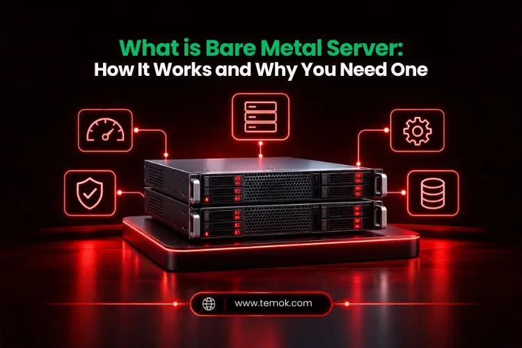 What is Bare Metal Server
