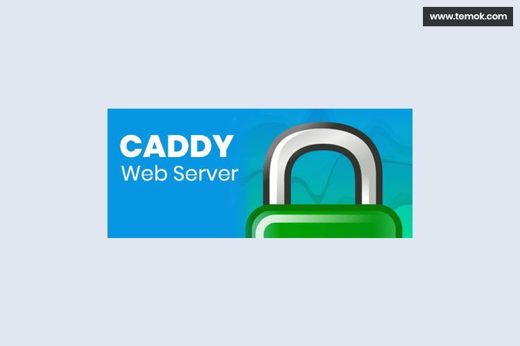 Best Web Server from a Number of Open Source Web Servers