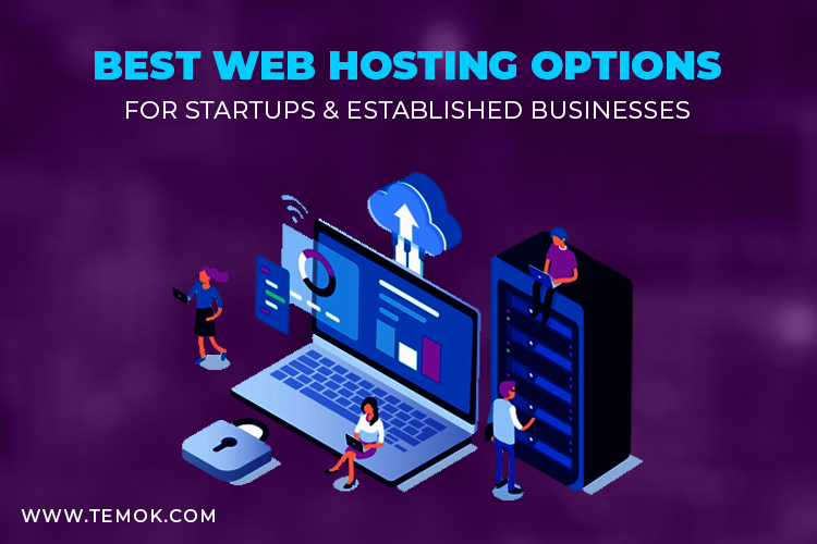 Best Web Hosting Options