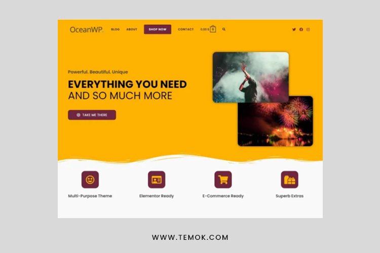 Top 10 Free WordPress Themes For Blogs in 2023 | TEMOK Blog
