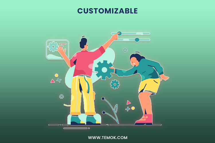 Easy Customizable Everything About Magento Hosting for E-commerce Operation