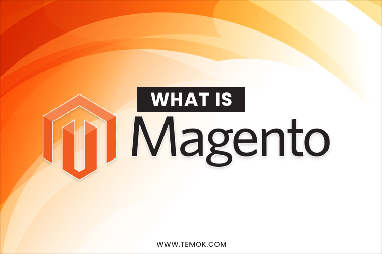 Everything About Magento Hosting for E-commerce Operation
