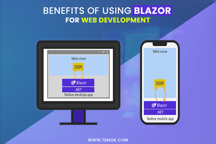 The Next Big Thing in .NET Framework for Web Development