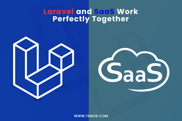 laravel and SaaS work perfectly together