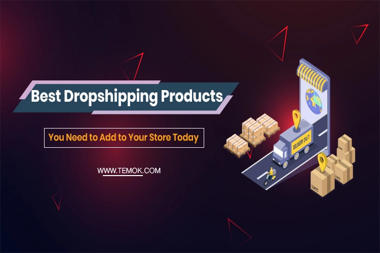Best Dropshipping Products