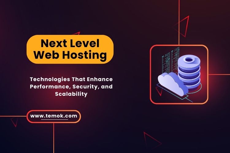 Next Level Web Hosting