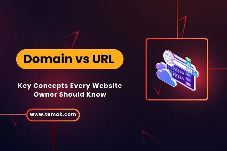 Domain vs URL