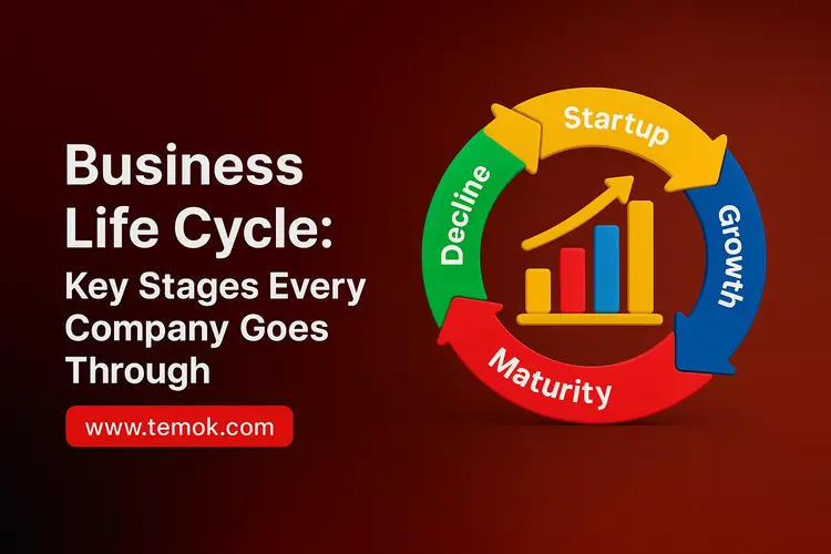 Business Life Cycle