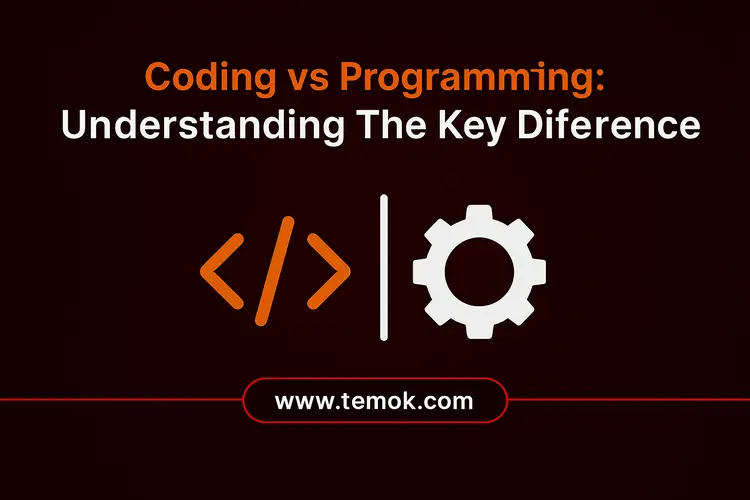 Coding vs Programming