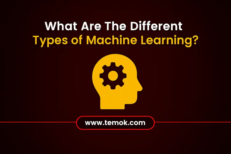 What is Machine Learning: Types, Models, and Key Techniques