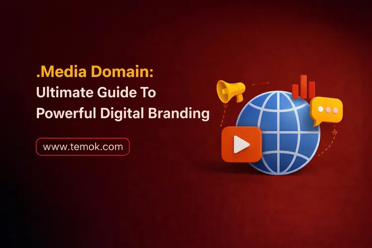 .Media Domain