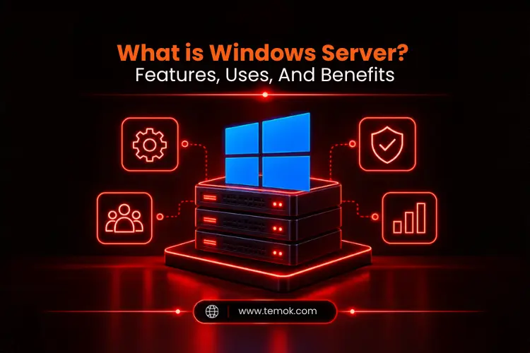 What is Windows Server