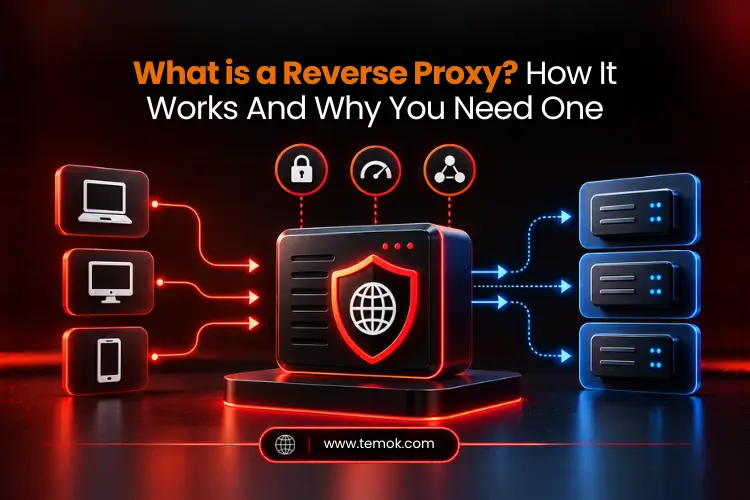 What is a Reverse Proxy